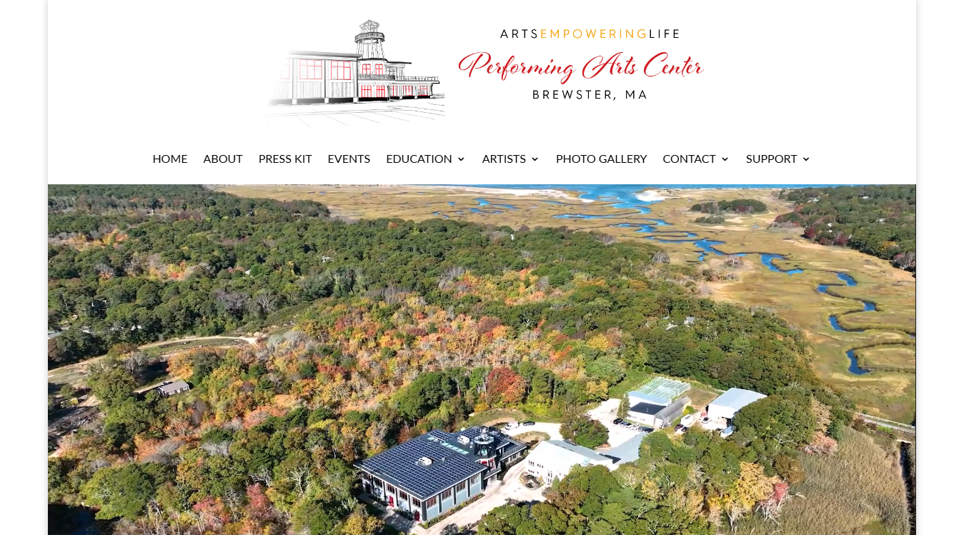 Website screenshot for Arts Empowering Life Performing Arts Center