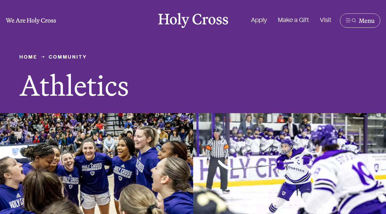 Website screenshot for Fitton Field