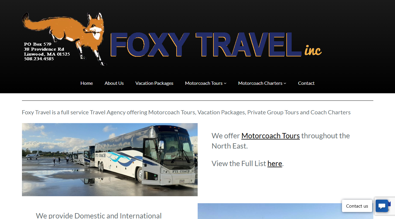 Website screenshot for Foxy Travel, inc