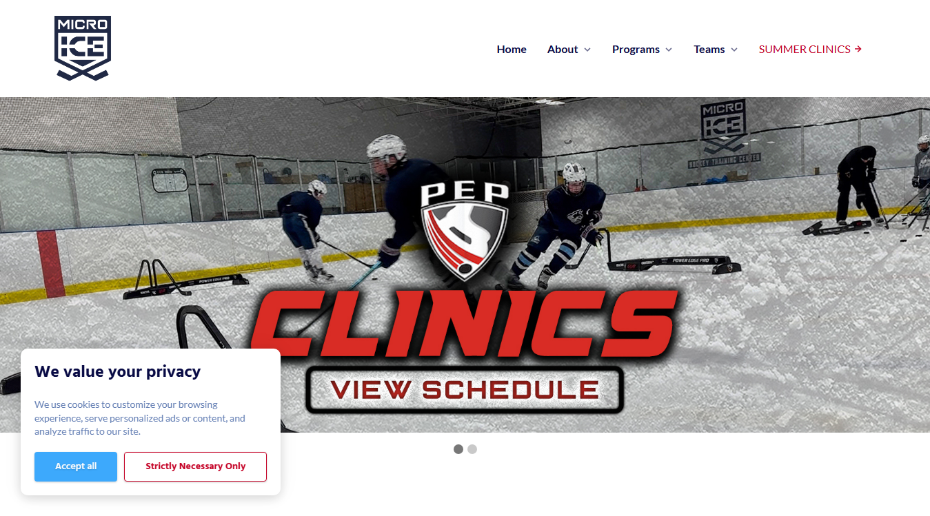 Website screenshot for Micro Ice Training Center of America