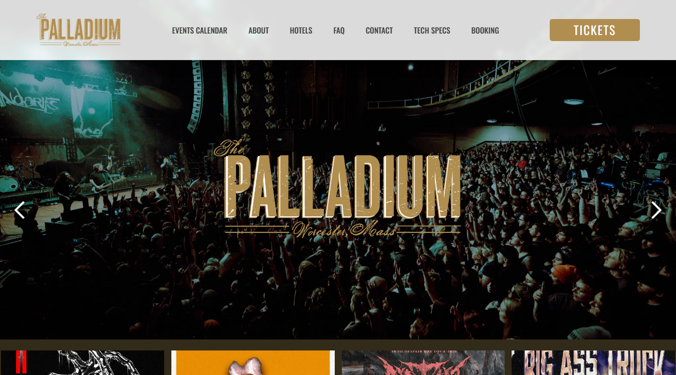 Website screenshot for Palladium