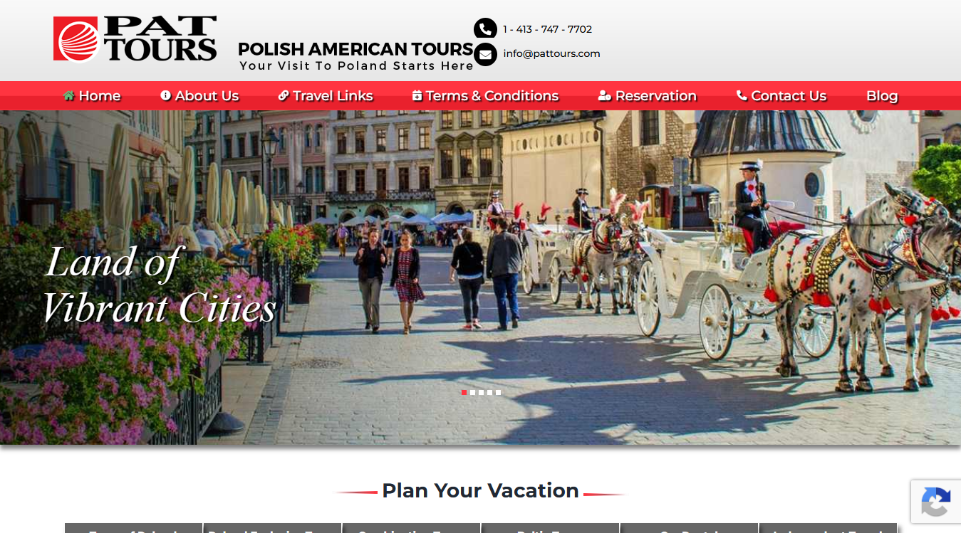 Website screenshot for PAT TOURS