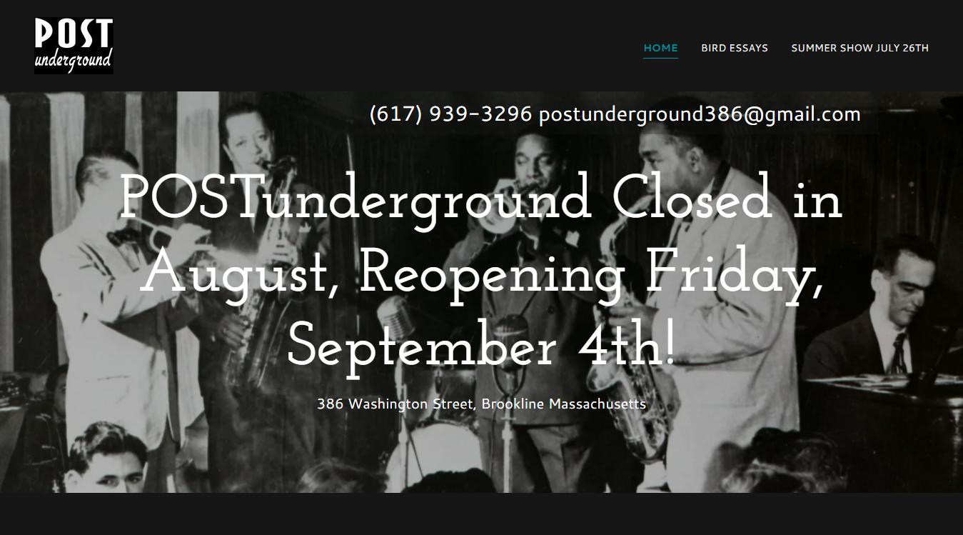 Website screenshot for Post Underground