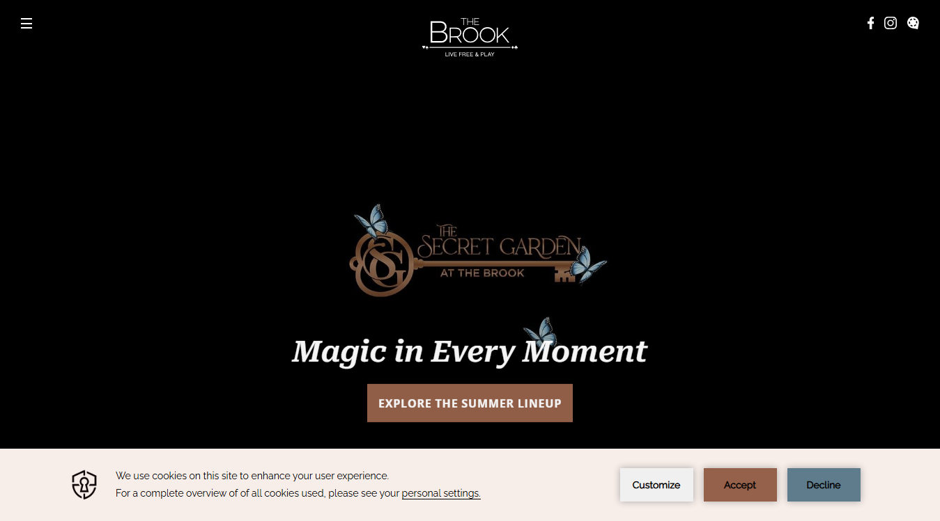 Website screenshot for The Brook