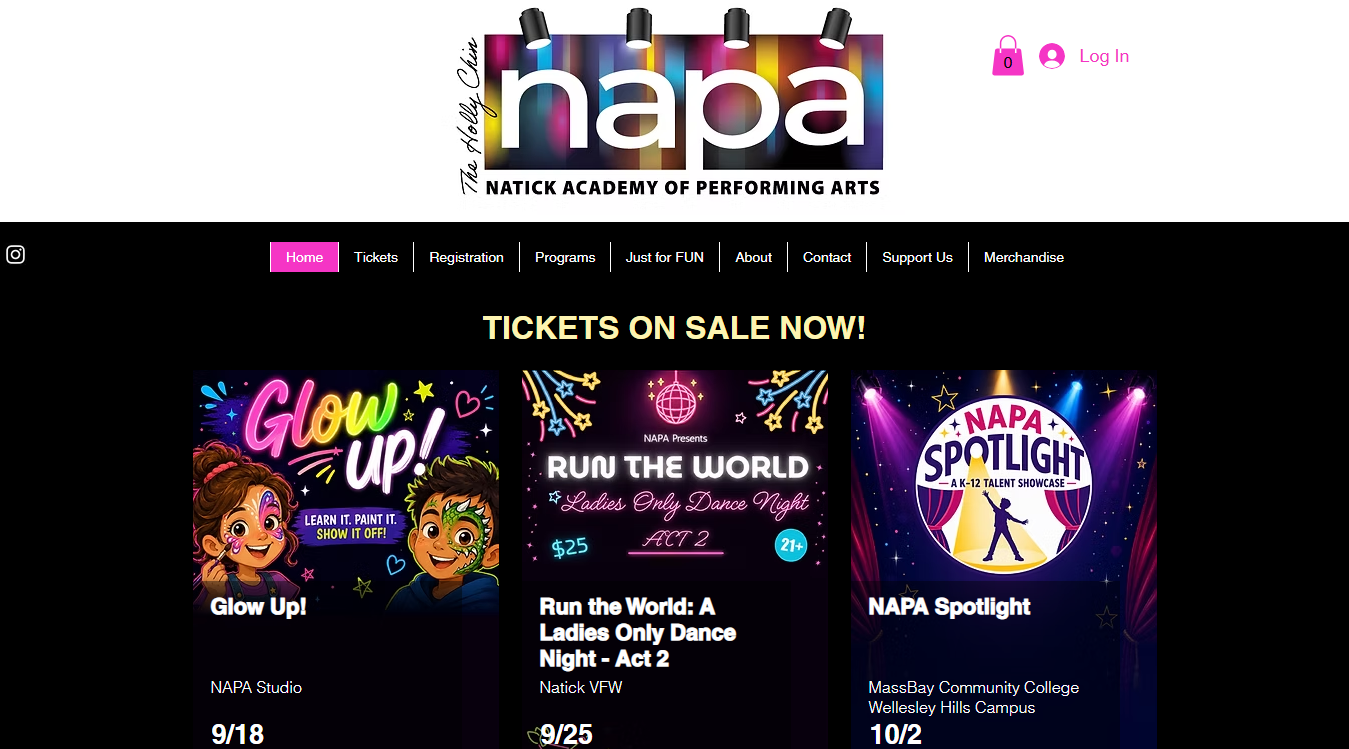Website screenshot for The Holly Chin Natick Academy of Performing Arts