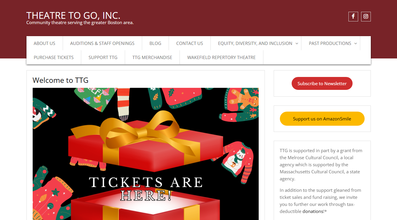 Website screenshot for Theatre To Go, Inc.