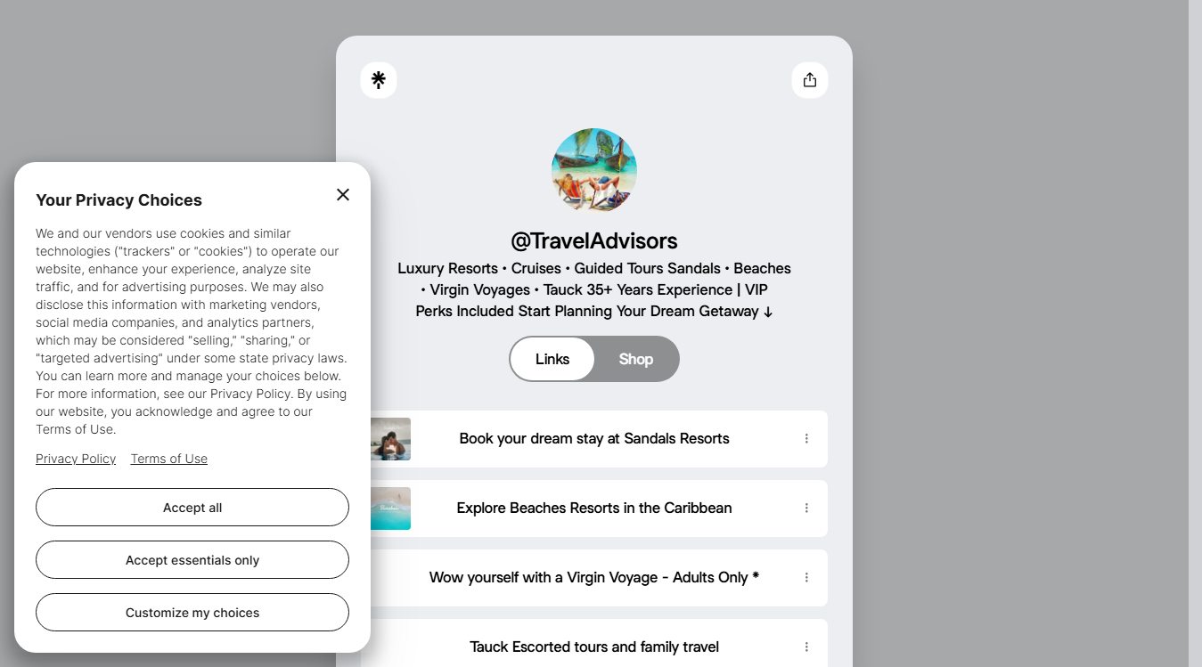Website screenshot for Travel Advisors International