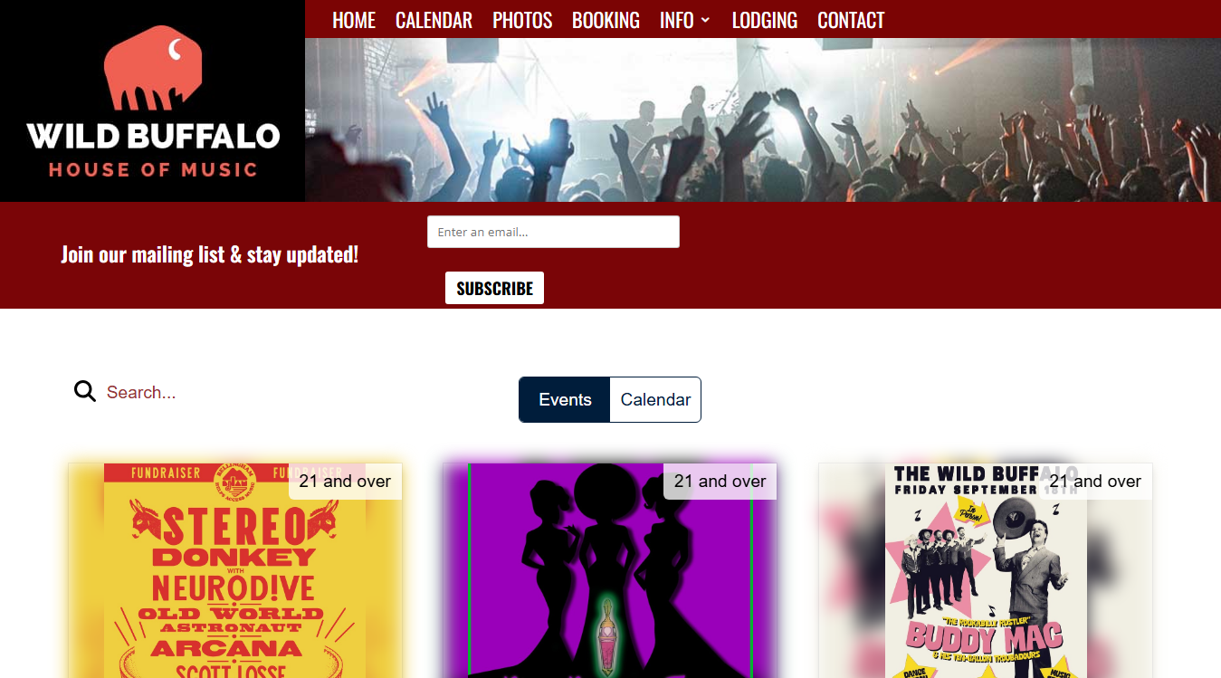 Website screenshot for Wild Buffalo House Of Music